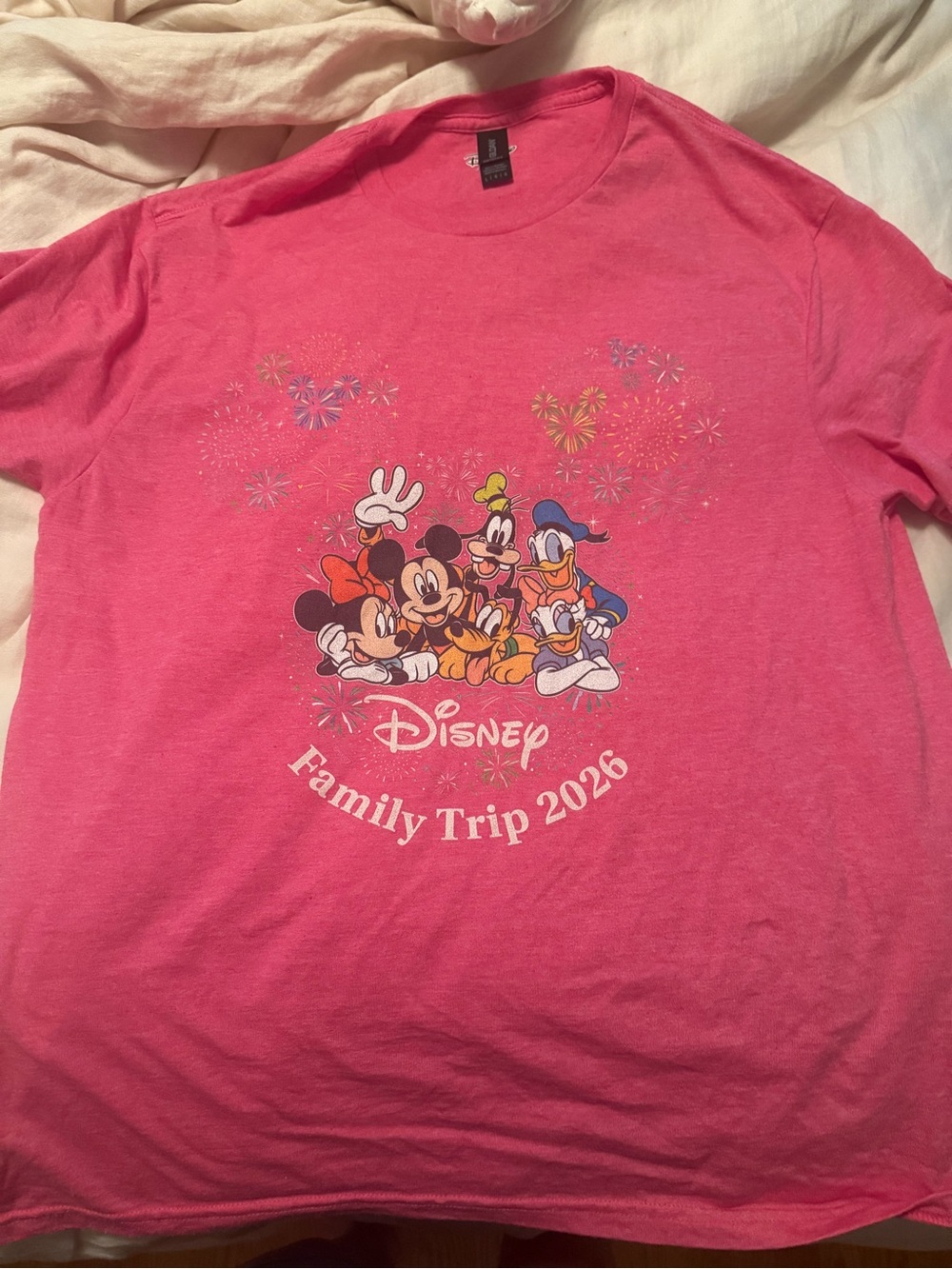 Disney Pink 'Family Trip 2026' Short Sleeve Tee